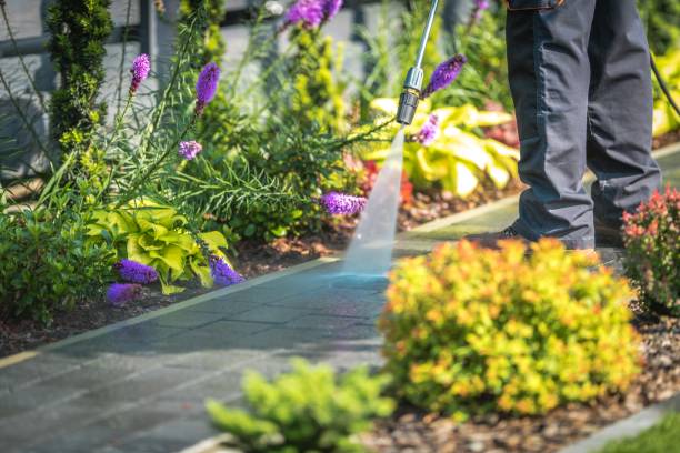 Best Pre-Holiday Cleaning  in Bridgeton, MO